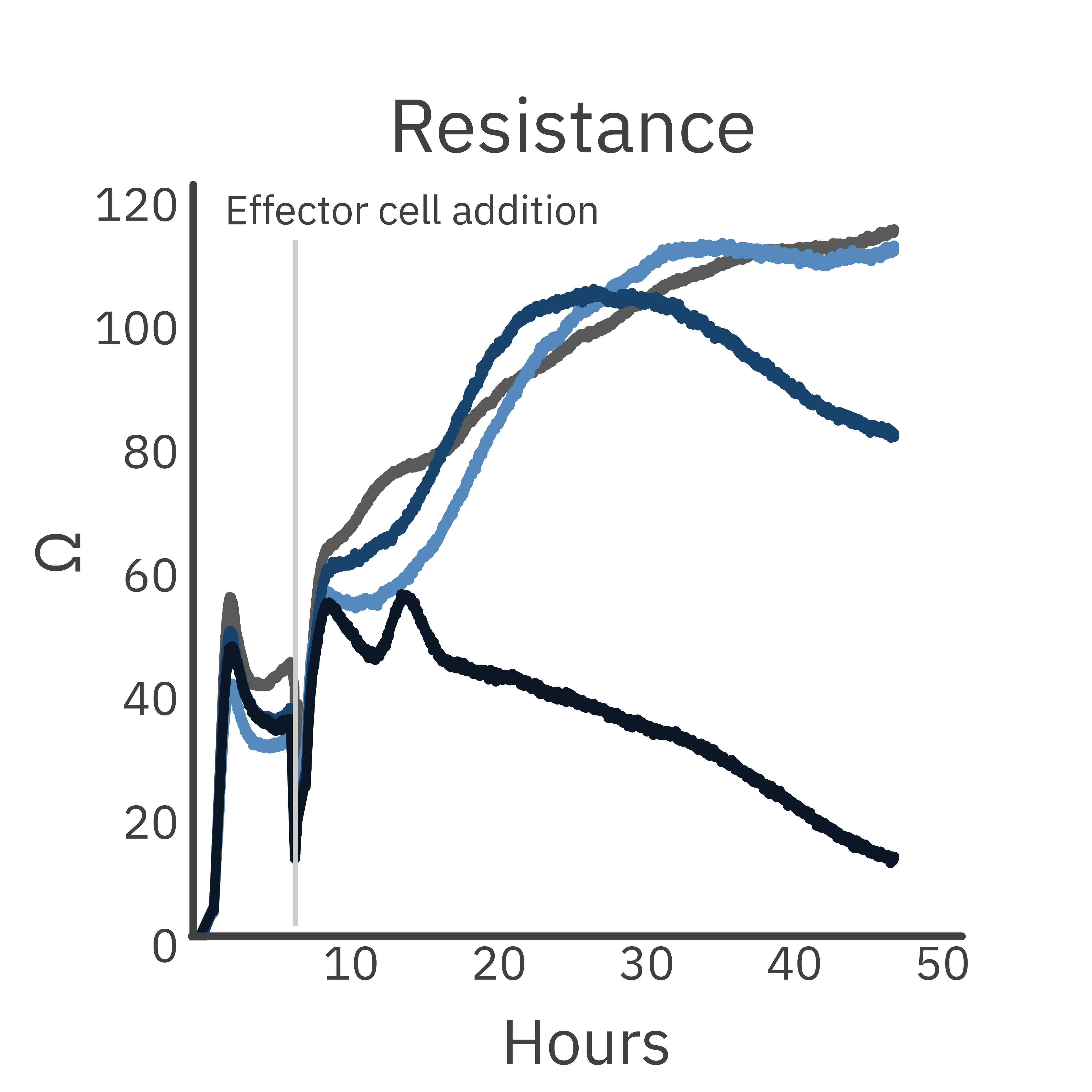Trastuzumab promotes antibody-dependent NK cell killing of A172 target cells.