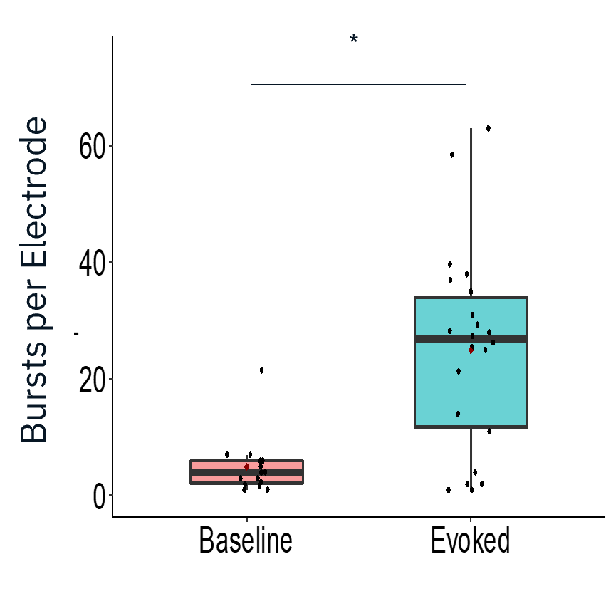 Characterization of evoked firing activity using the Maestro Pro showed robust evoked activity.