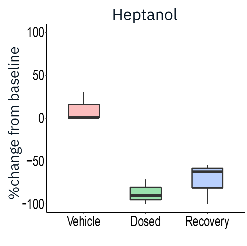 Application of gap junction blocker heptanol or neuromuscular antagonists decamethonium bromide and vecuronium drastically reduced evoked activity