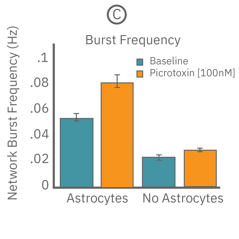 Neural co-culture activity compared over time