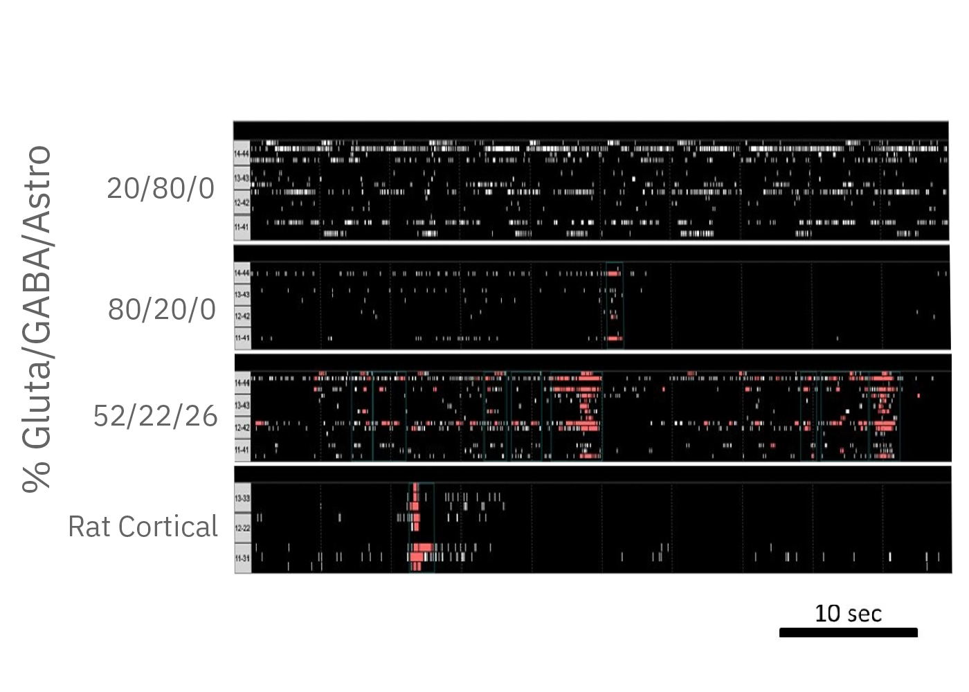 Neural activity raster plot of neural co-culture