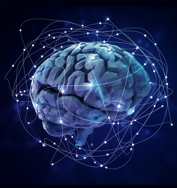 Neural Organoids