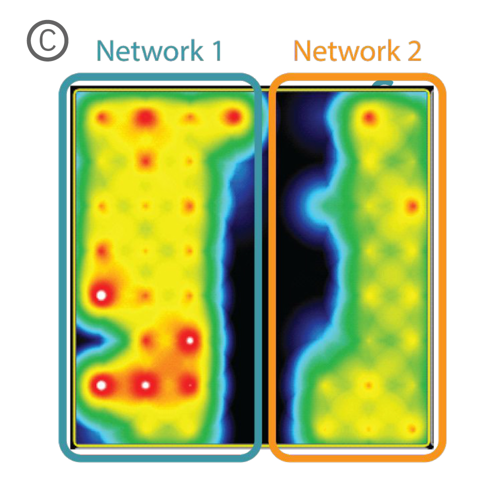 Multielectrode activity map showing activity from the two neurite populations