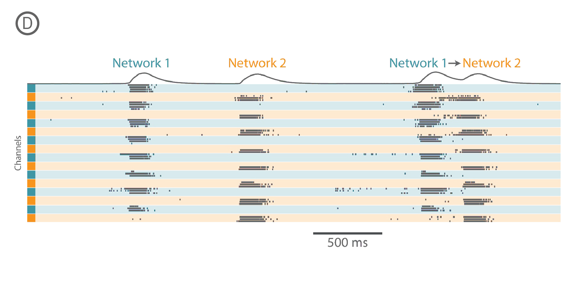 Raster plot of network activity 17 days post insert removal