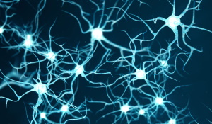 Neural electrophysiology multielectrode array