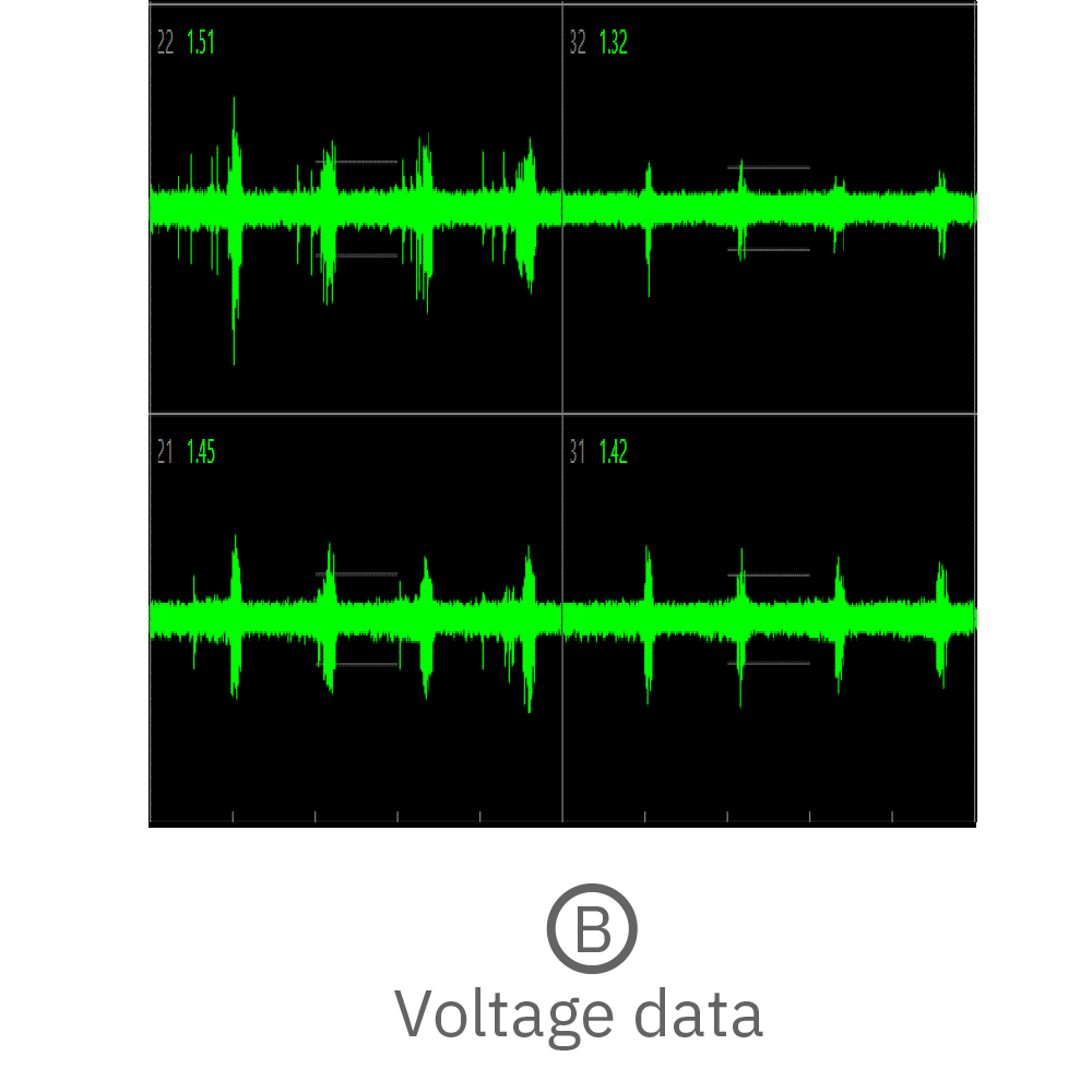 Continuous voltage data recorded from four electrodes in one well. Activity is recorded from different sites on the same organoid.