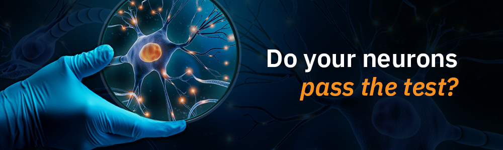 Neural Function