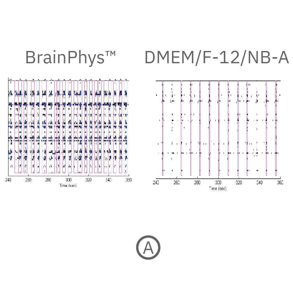 Raster plot shoring the firing patterns of neurons across 64 electrodes in a well of a MEA plate