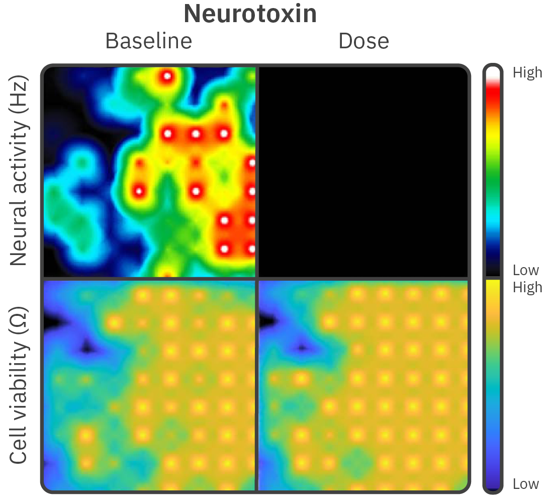 Neurotoxin baseline and dose viability activity