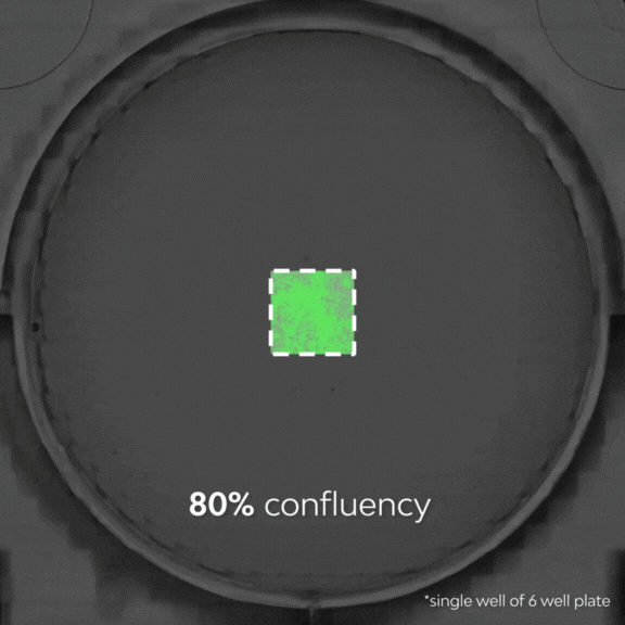 Omni whole-well detection