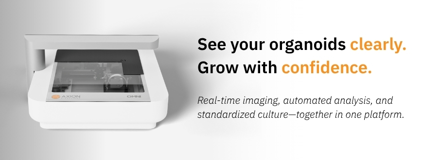 See your organoids clearly with Omni Live Cell Imaging by Axion Bio