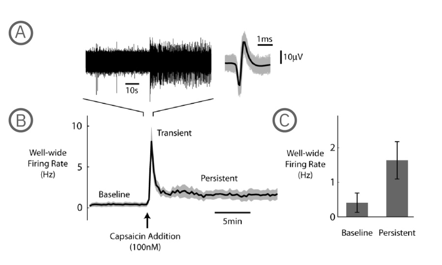 Pain Graphics Capsaicin Transients