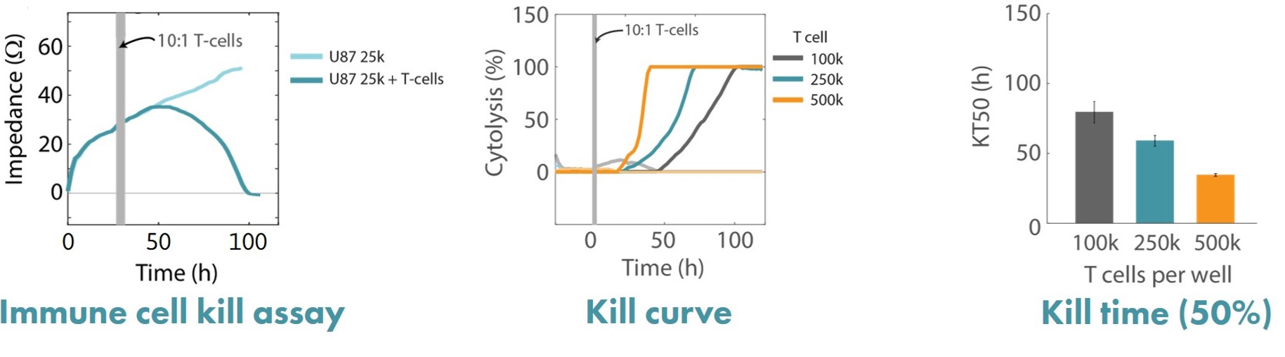 Analysis of CAR T cell killing of U87MG glioma cells