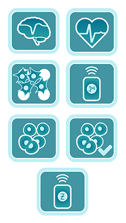 Multiwell MEA software and live cell assay software