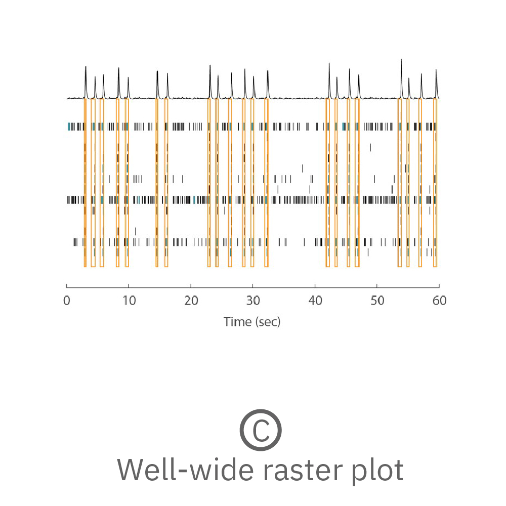 Well-wide raster plot showing activity across all 16 electrodes and synchronous network bursting.