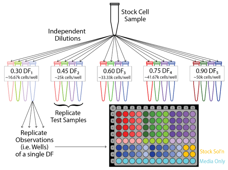 Replication of cell dilutions for cell counting and multiwell plate map