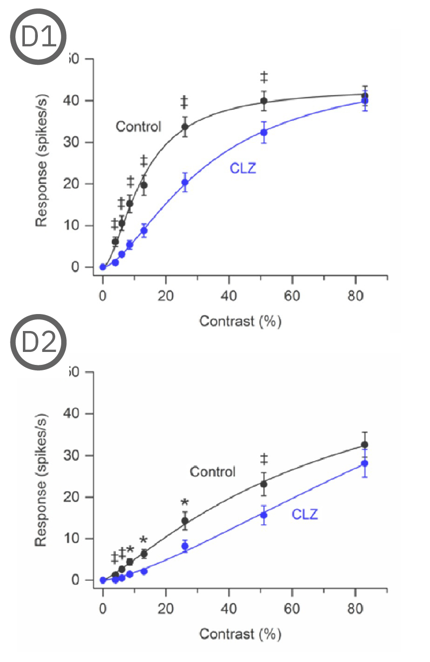 Cloapine decreased the response of the rat RGCs