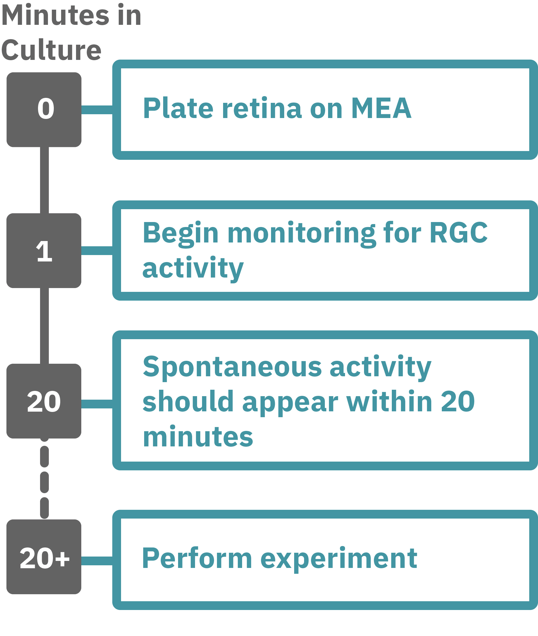 Retina protocol