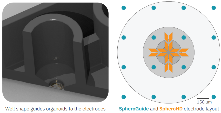 SpheroGuide and SpheroHD