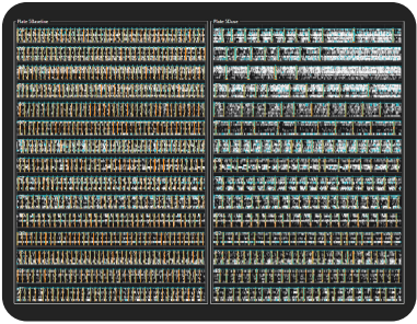 Visualize your data with side-by-side rasters