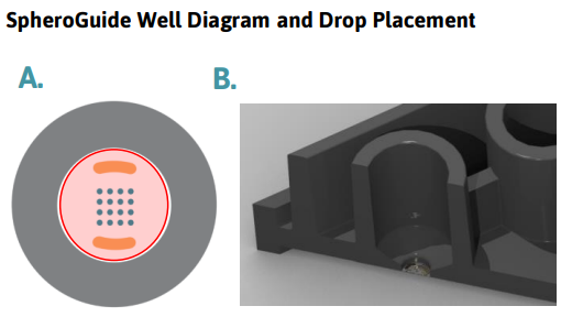 SpheroGuide MEA Plate Well Diagram and Drop Placement