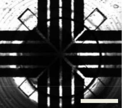Visualization of Typical Spheroid Seeding Results