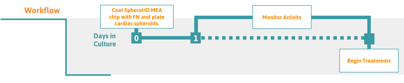 Cardiac spheroid protocol