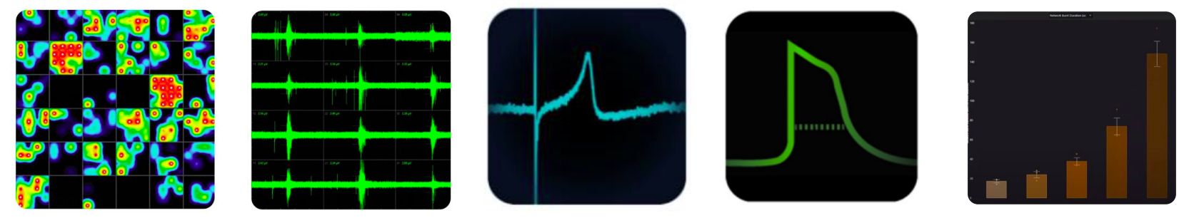 MEA Data Outputs & Readouts