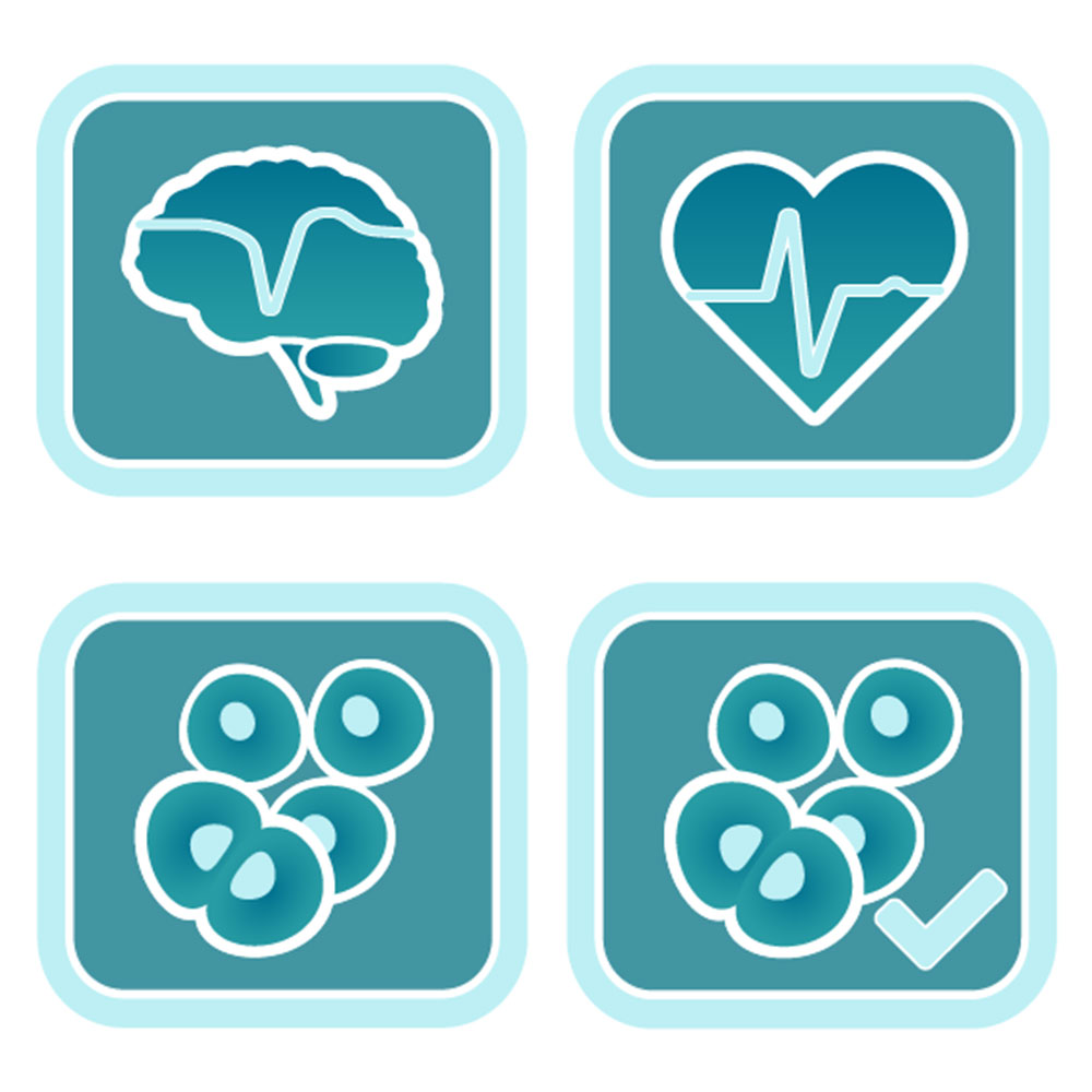 Multiwell MEA software and live cell assay software