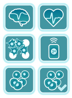 Multiwell MEA software and live cell assay software