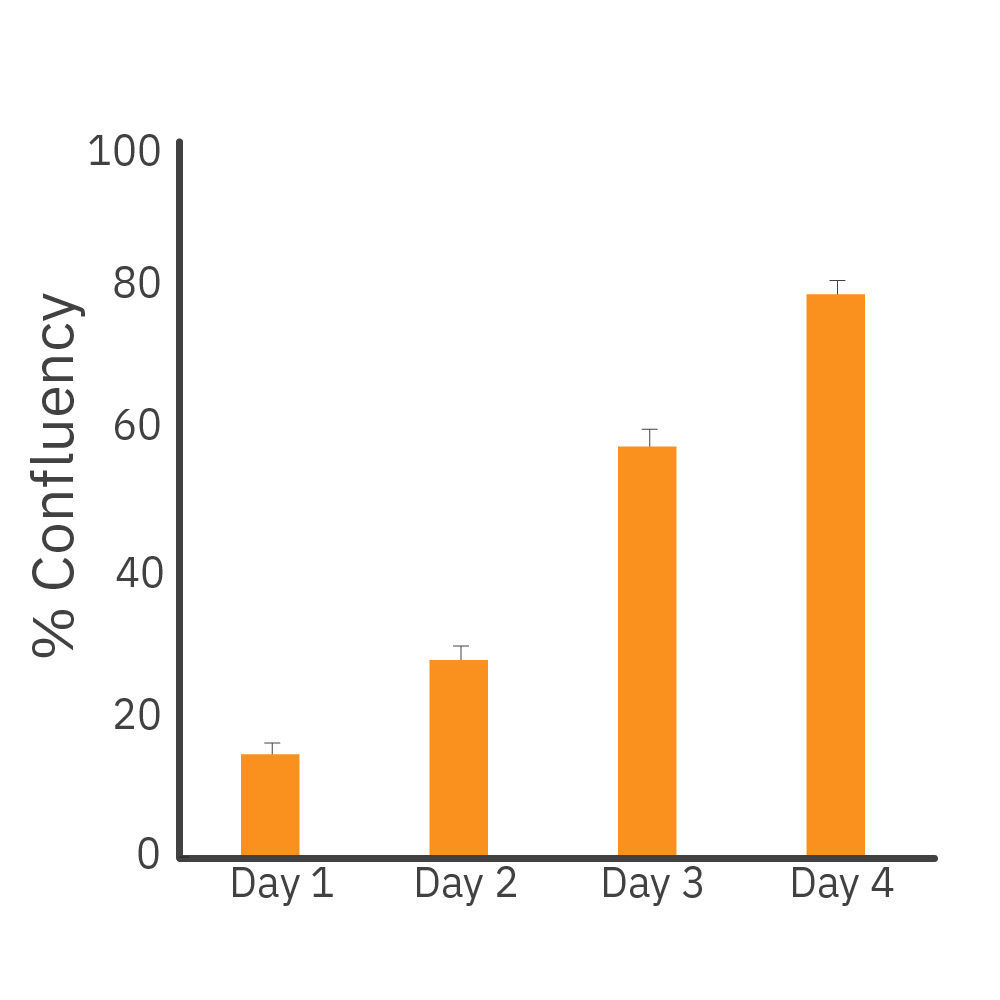 Human iPSCs were cultured in a 6-well plate