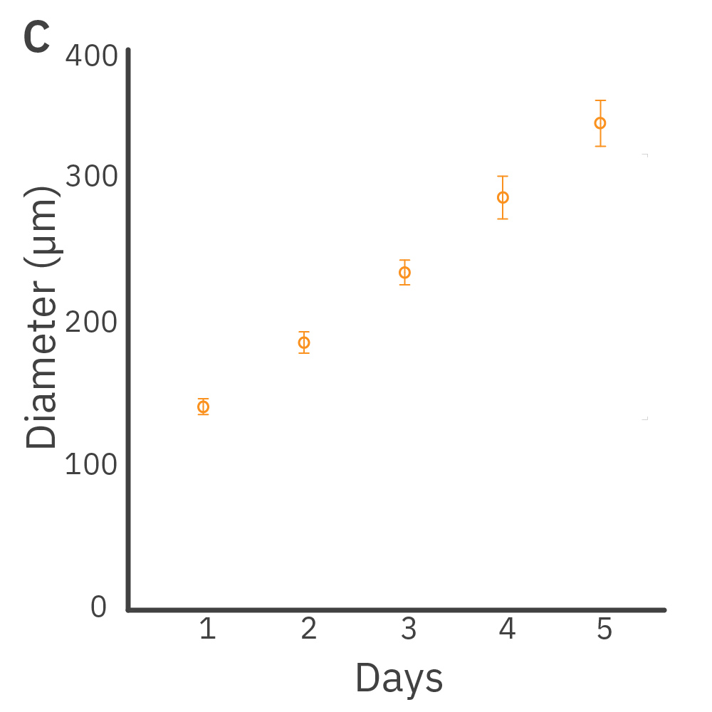 Human iPSCs were used to prepare EB cultures