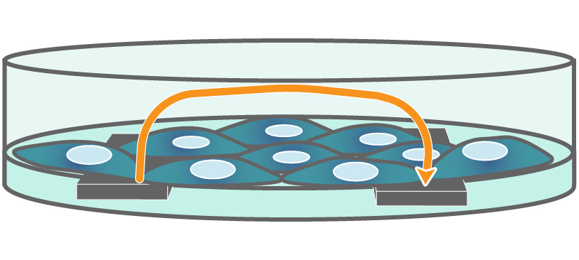 impedance technology