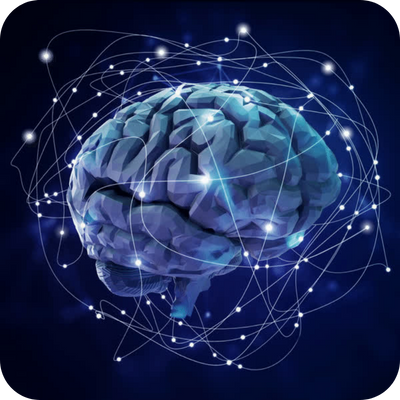 iPSC-derived neural organoids resources with Maestro MEA