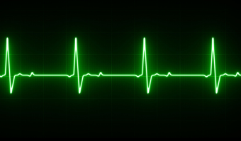 Cardiac Organoids Research