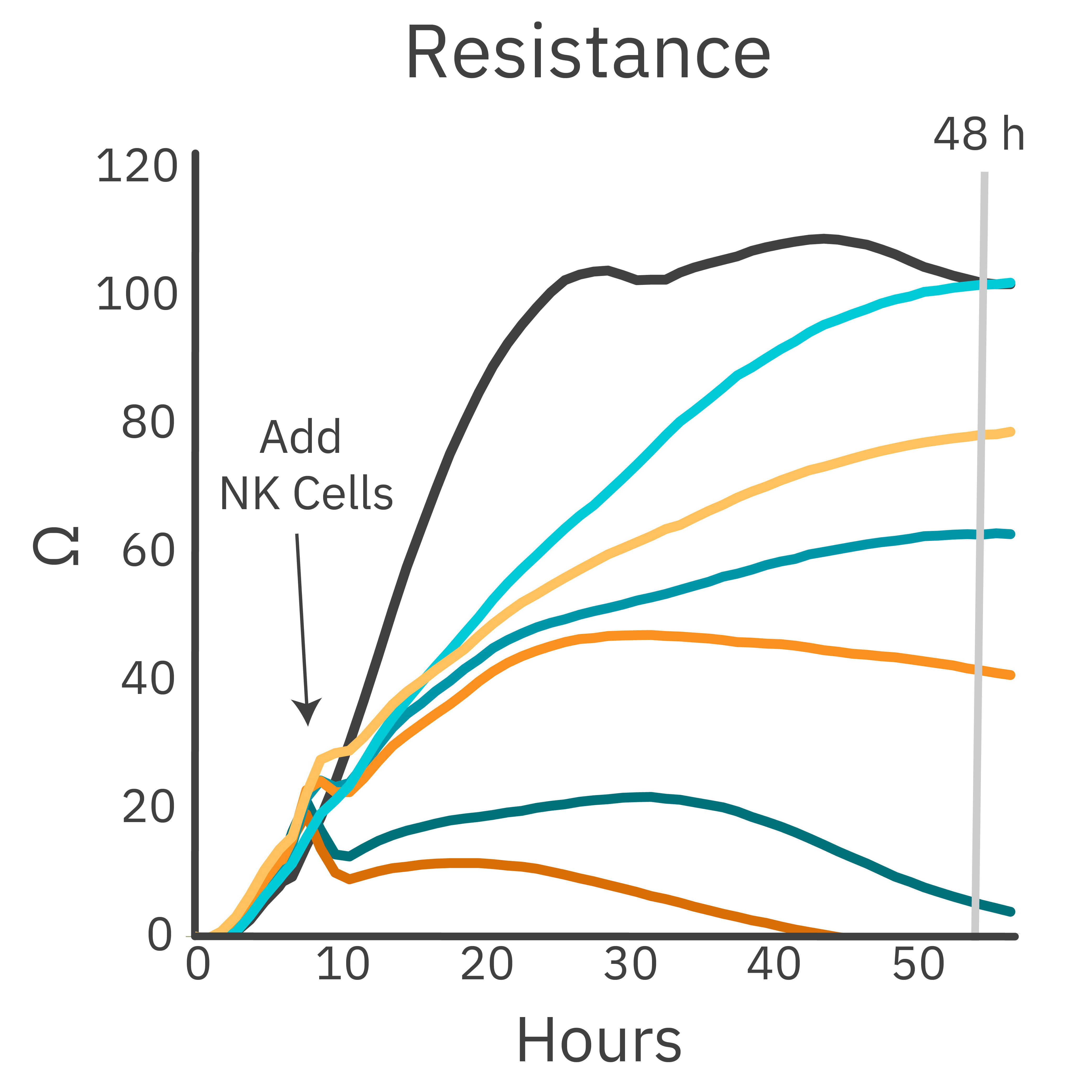 PBNK cell-mediated cytolysis at different E:T ratios in the presence or absence of trastuzumab.