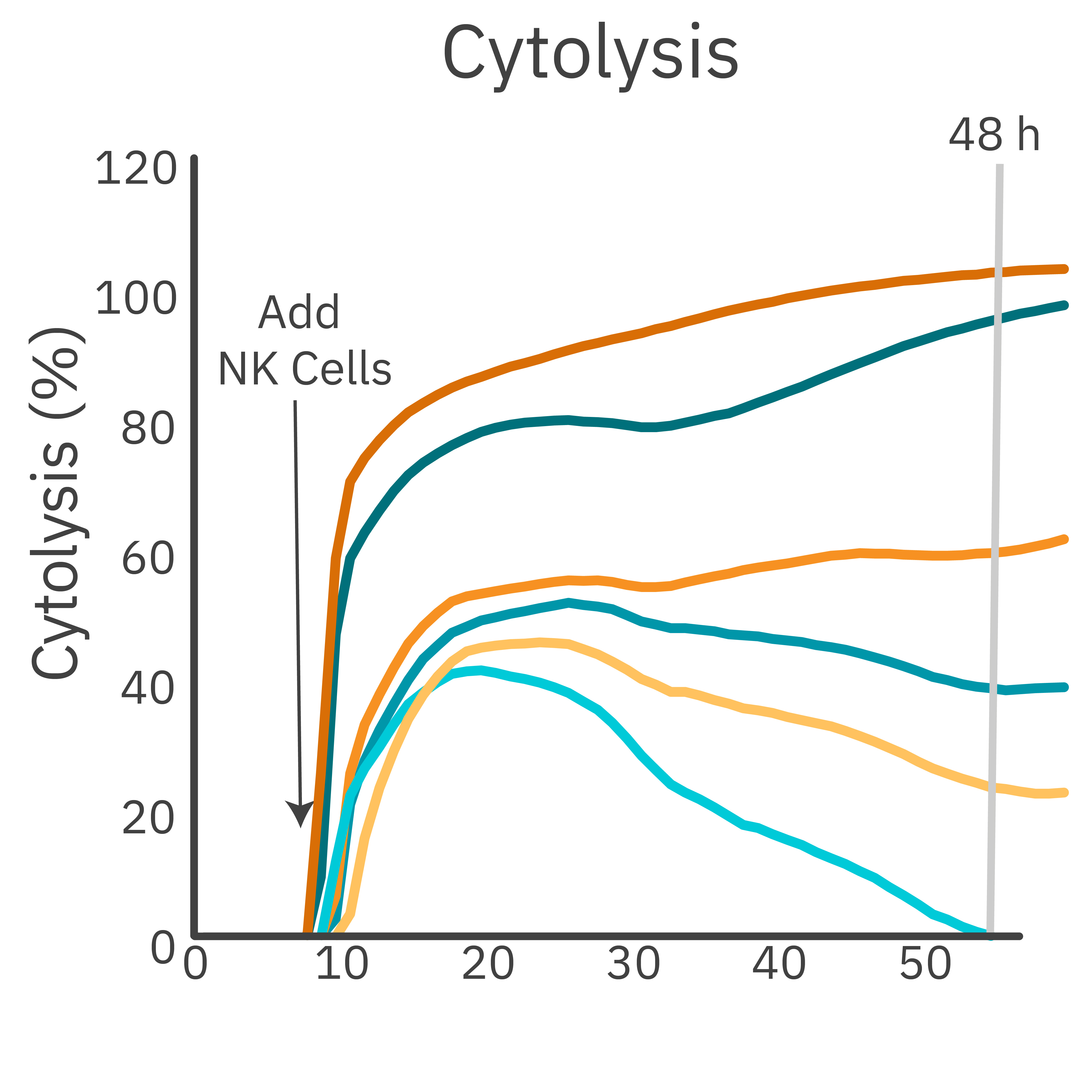 PBNK cell-mediated cytolysis at different E:T ratios in the presence or absence of trastuzumab. 