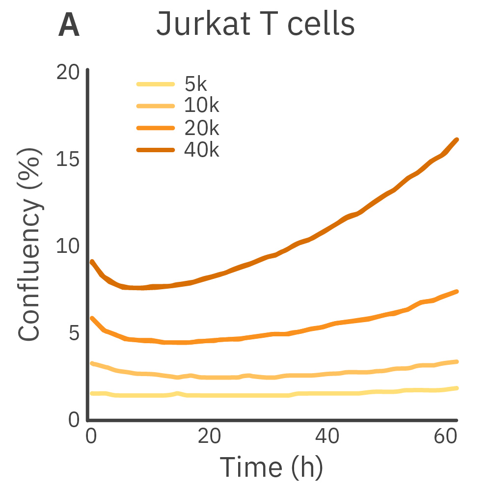 Cell Proliferation Figure 2A