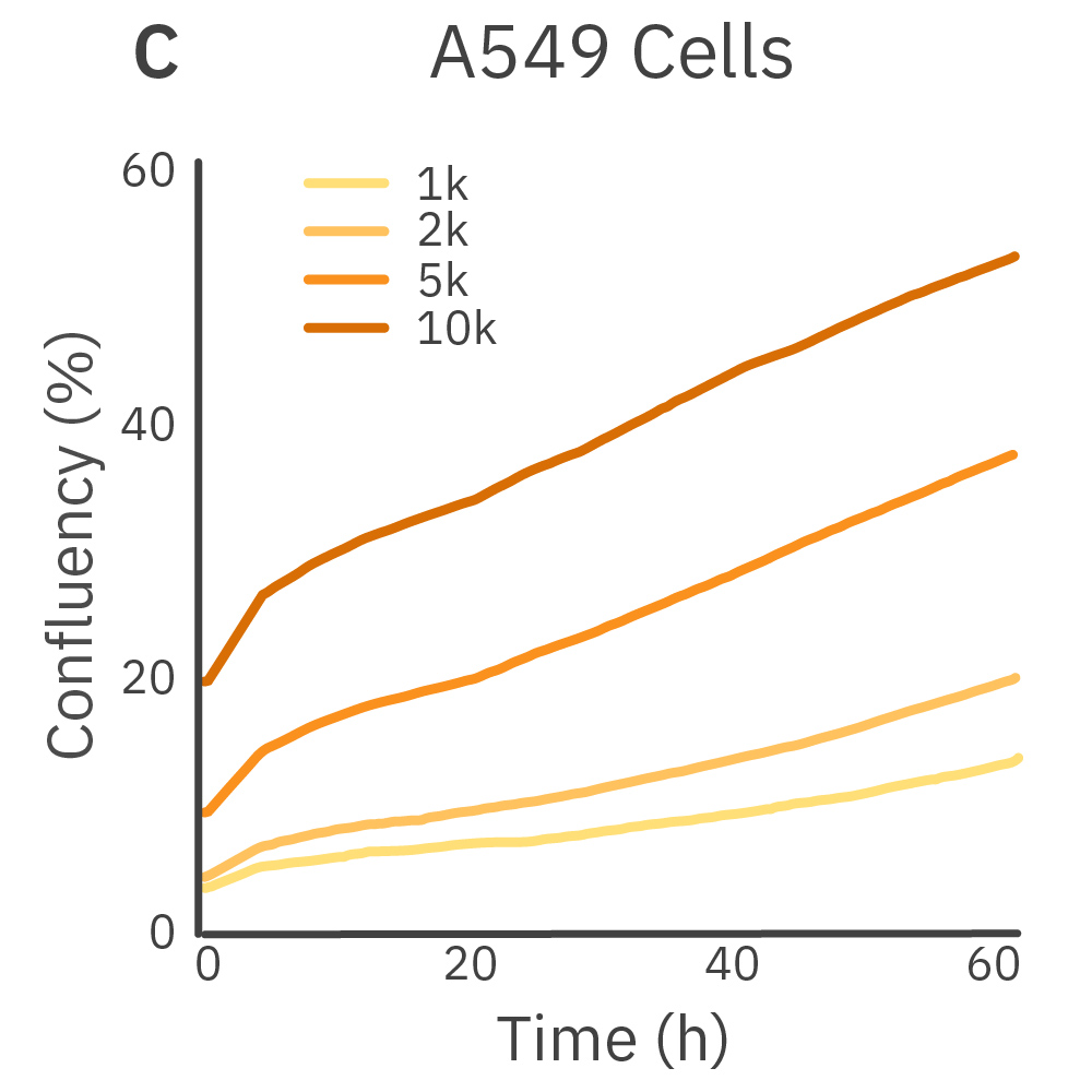 Cell Proliferation Figure 2C