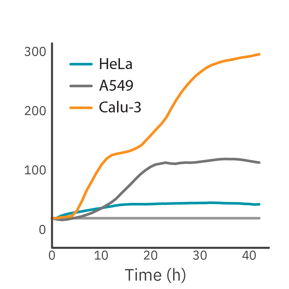 Cell Proliferation Figure 3