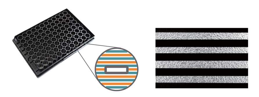 Maestro Z plates with cells on electrode