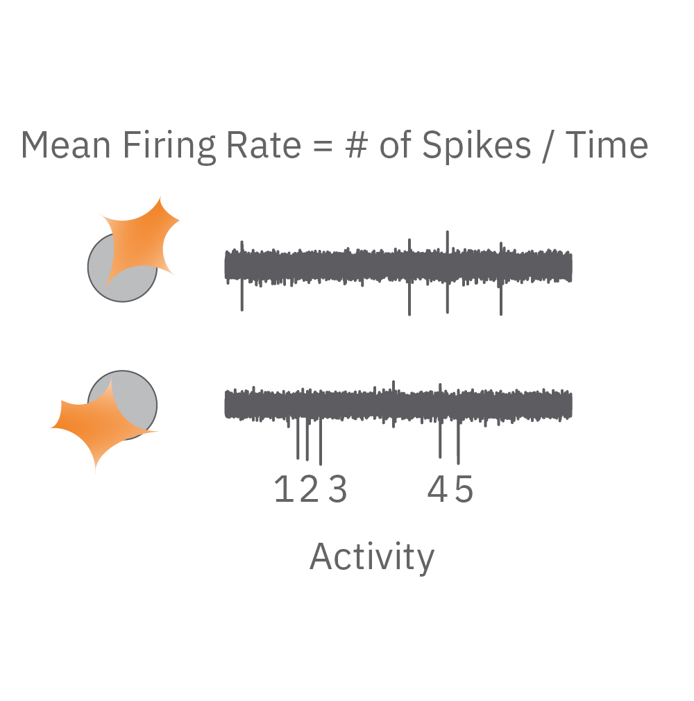 Action potentials recorded from electrodes