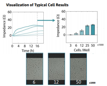 Adherent cell assay experiment results