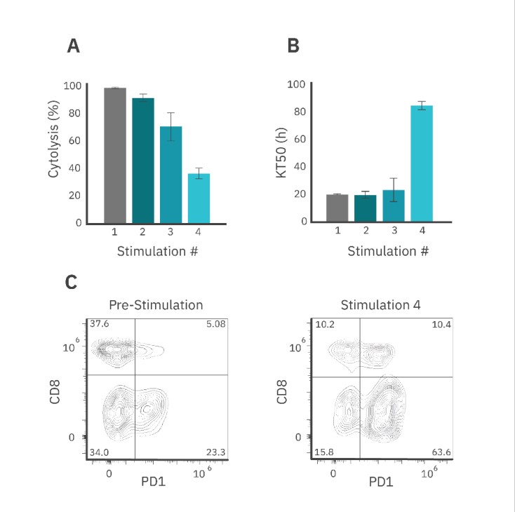 Flow cytometric analysis of CAR T phenotype