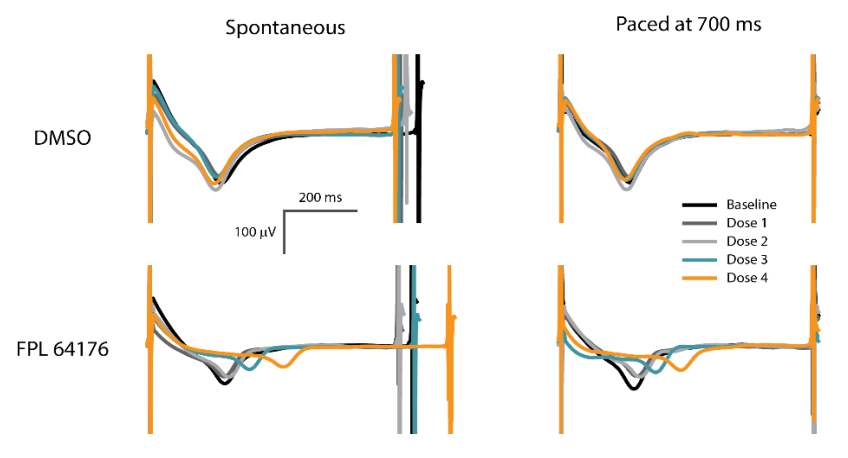 Cardiac pacing with Lumos MEA