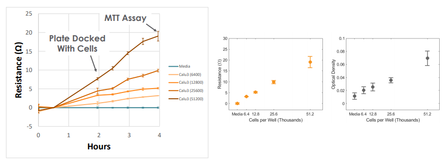 Cell coverage and impedance MTT assay