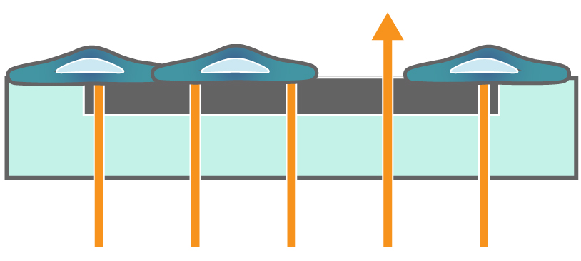 Cells on electrode 