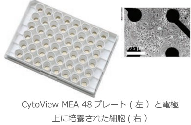 cytoview MEA 48 plate