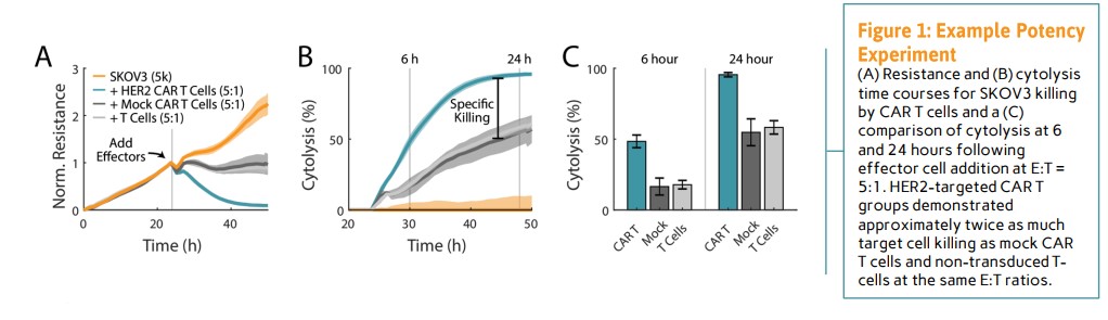 Example Potency Experiment