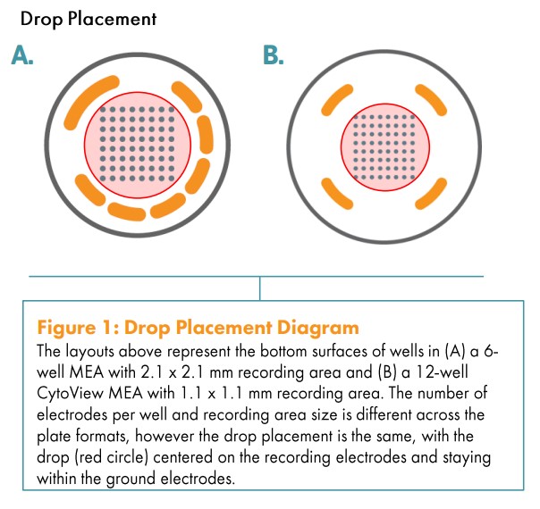 Drop Placement Diagram